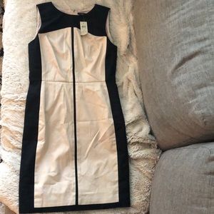 NWT Ann Taylor Sheath Dress in sz 0
